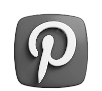 logo img